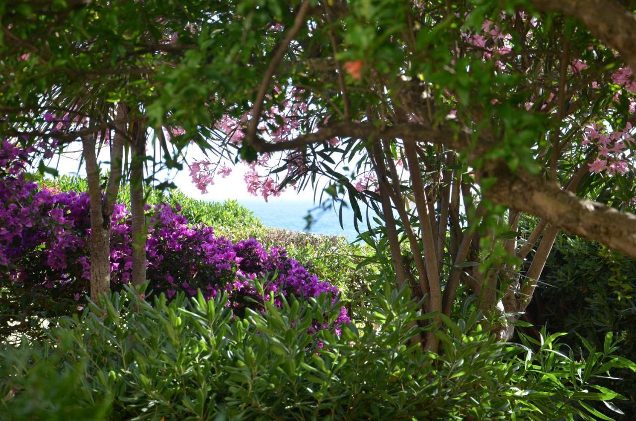 Fantastic Sardinia Villette Con Giardino Fronte Mare Fertilia Faho-Gav01-Gav02 المظهر الخارجي الصورة