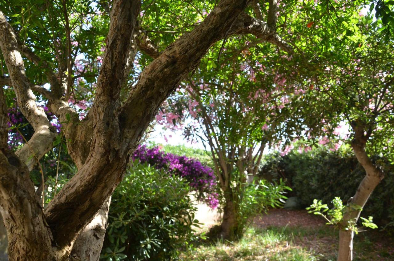 Fantastic Sardinia Villette Con Giardino Fronte Mare Fertilia Faho-Gav01-Gav02 المظهر الخارجي الصورة