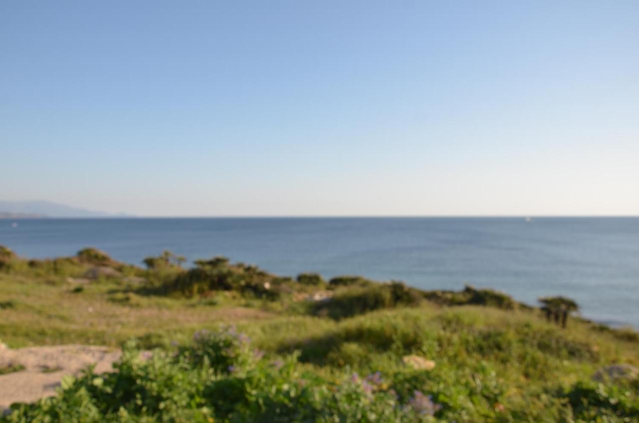 Fantastic Sardinia Villette Con Giardino Fronte Mare Fertilia Faho-Gav01-Gav02 المظهر الخارجي الصورة